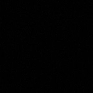 Meet your Posher, Lexi